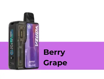 Berry Grape Vanza Artist 20000 Puffs Kit