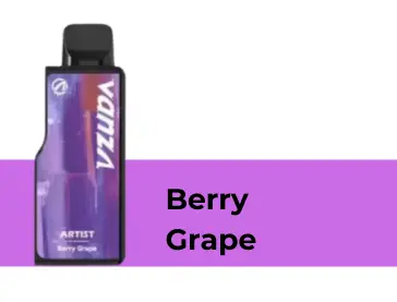 Berry Grape Vanza Artist 20000 Puffs Pod