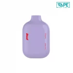 Bud Disposable Vape Grape Mint