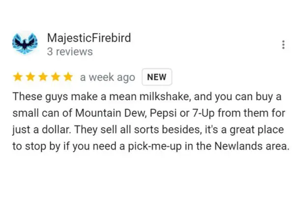 Customerr Review: MajesticFirebird