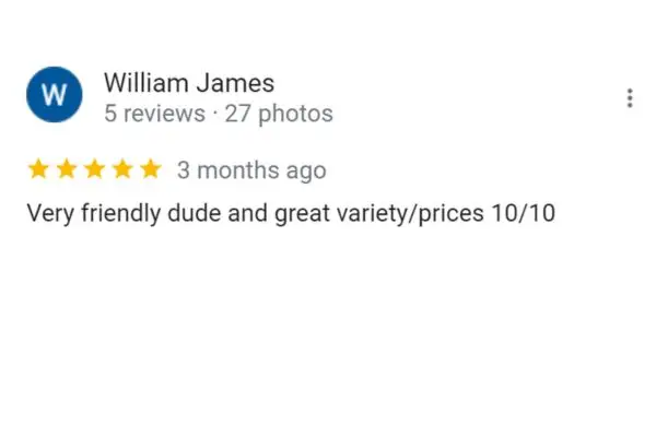 Customer Review: William James