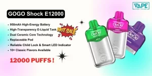 GOGO Shock E12000 Pod Bundle