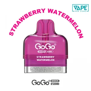 Strawberry Watermelon GOGO Shock E12000 Pod