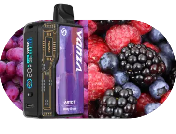 hot-sale-flavours-berry-grape-vanza-artist-20k-kit