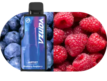 Hot Sale Flavours Blueberry Raspberry Artist 20K Pod