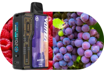 Hot Sale Flavours Grape Ice Vanza Artist 20000 Puffs Kit