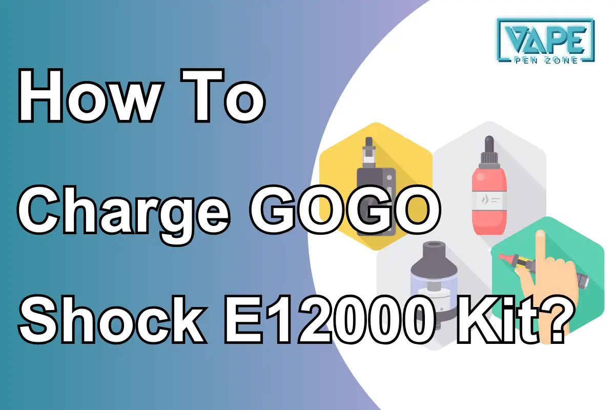 How To Charge GOGO Shock E12000 Kit