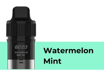 IGET Bar Plus Pod 6000 Puffs Watermelon Mint