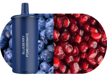 Blueberry Pomegranate – Inmood 10K Pod