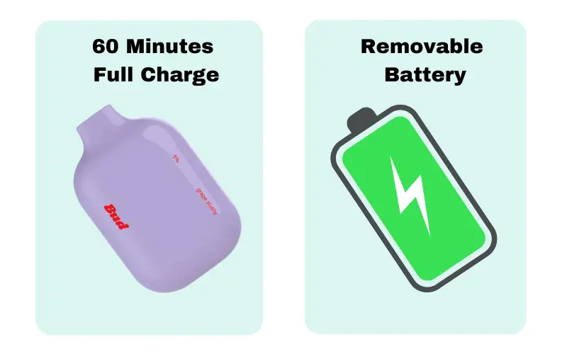 Removable Battery