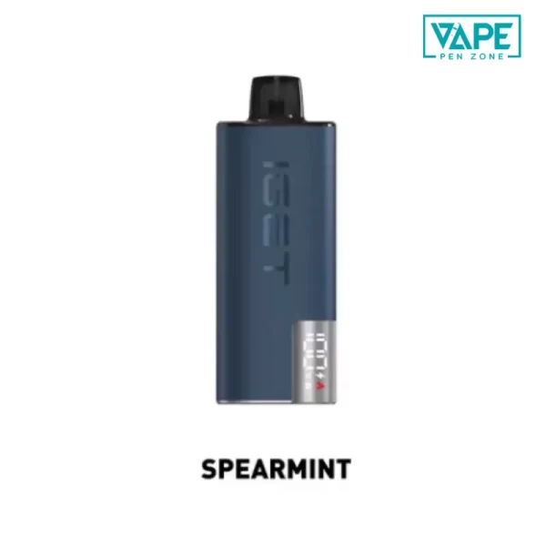 Spear Mint IGET EDGE Kit 10000 Puffs