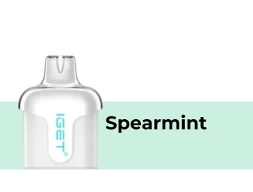 Spearmint IGET Halo Pod Hot Sale Flavour