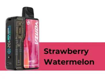 Strawberry Watermelon Artist 20000 Puffs Kit